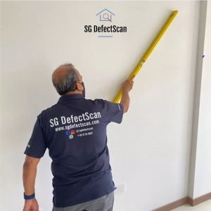 SG-defect-final-for-landing-page