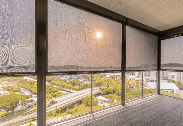 Ziptrak under the sun