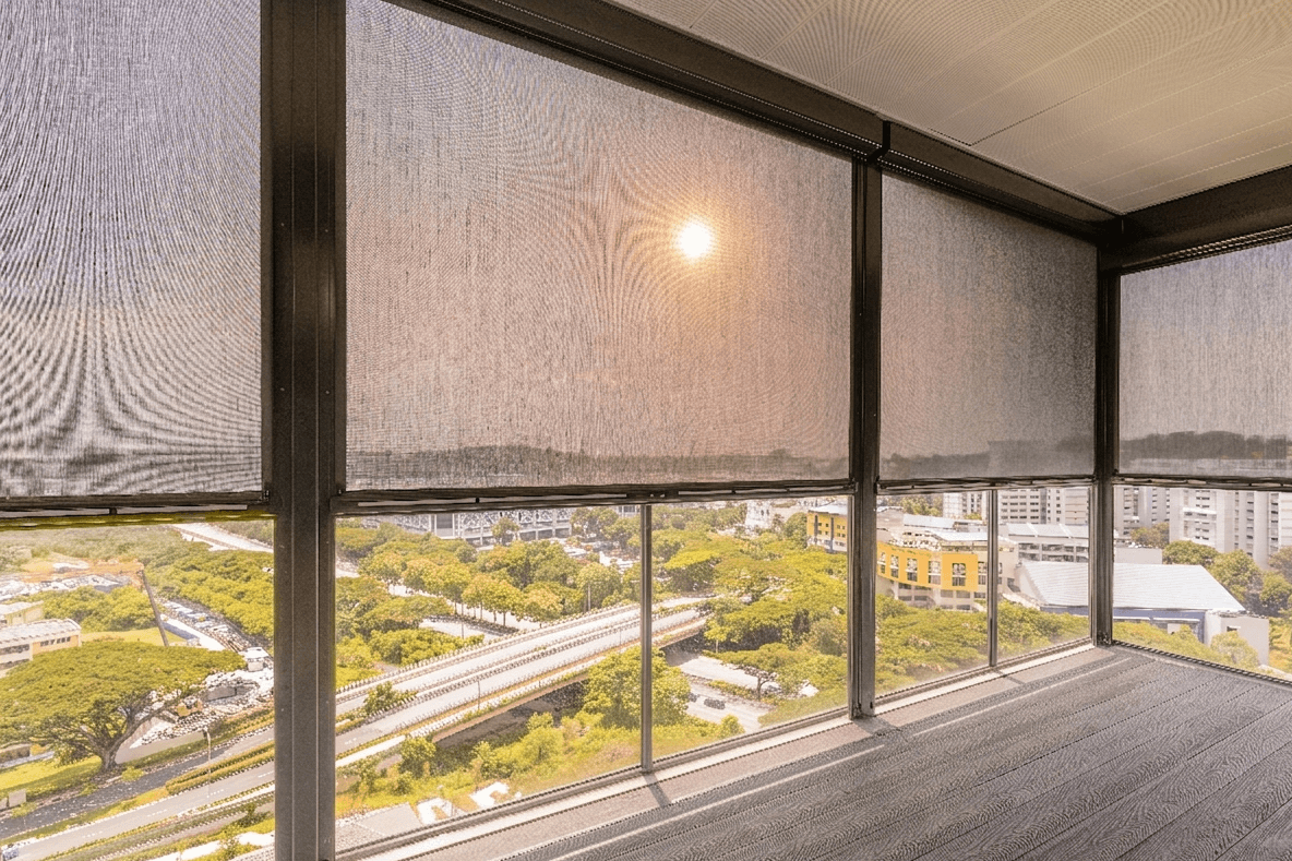 Ziptrak under the sun